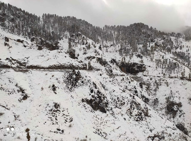 Uttarakhand:औली में जमी पांच इंच बर्फ; तस्वीरों में करें दीदार, चकराता-मसूरी में हिमपात से पूरी हुई पर्यटकों के मन की मुराद