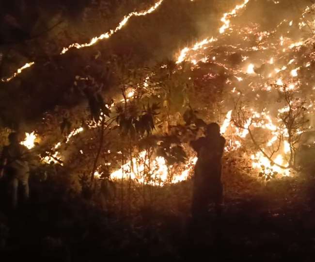 उत्तराखंड : जंगलों की आग बुझाने को गठित होंगे अग्नि सुरक्षा दस्ते उत्‍तराखंड में