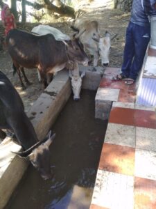 उत्तराखंड : गर्मियों में पानी की किल्लत के कारण ग्राम कांडी के लोग पलायन को हो जाते हैं मजबूर
