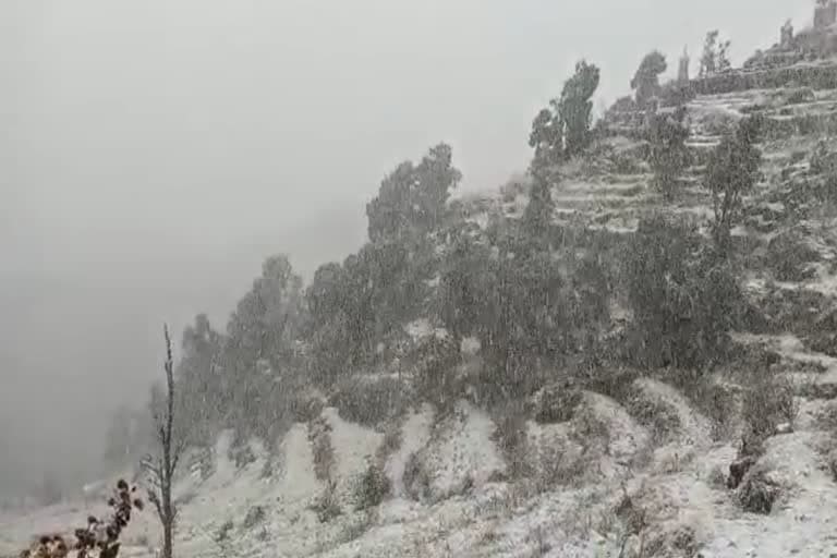 उत्‍तराखंड न्यूज़ मसूरी : मसूरी में बारिश, धनोल्टी में बर्फबारी शुरू, जमकर लुत्फ उठा रहे है पर्यटक