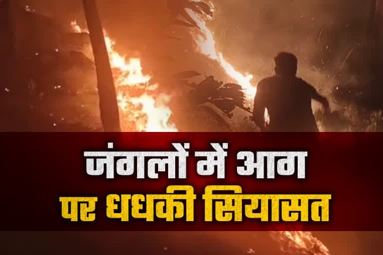 उत्‍तराखंड न्यूज़ : उत्तराखंड के जंगल में राजनीति गरमा गई, विपक्ष का दावा है - सरकार गंभीर नहीं, वन मंत्री इस्तीफा दें