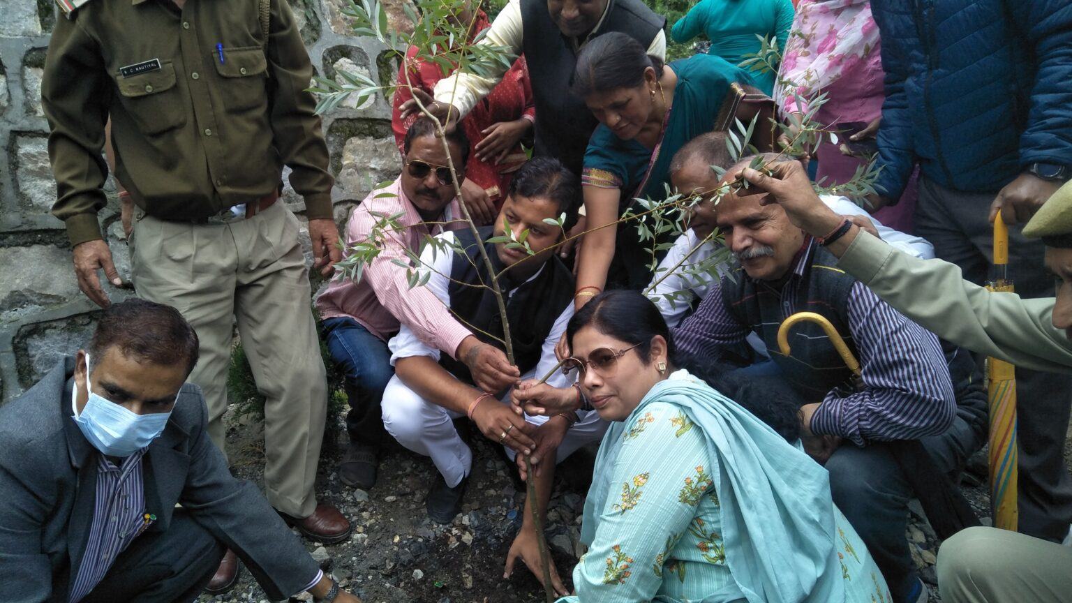 मसूरी उत्तराखंड न्यूज़ : गड़ीखाना क्षेत्र में जहां अंग्रेजों के जमाने से कूड़ाघर हुआ करता था, अब दिखेगी हरियाली, बड़े पैमाने पर किया पौधरोपण