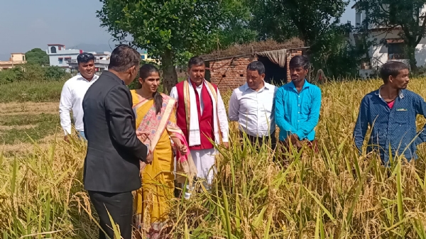 देहरादून : जिलाधिकारी ने किया धान कटाई प्रयोग का निरीक्षण
