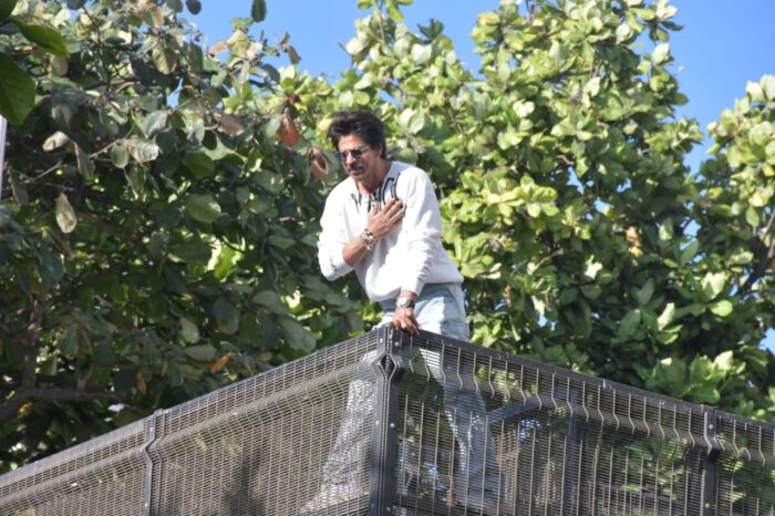 फ़िल्म चिड़ियाखाना के हाथ लगी कामयाबी