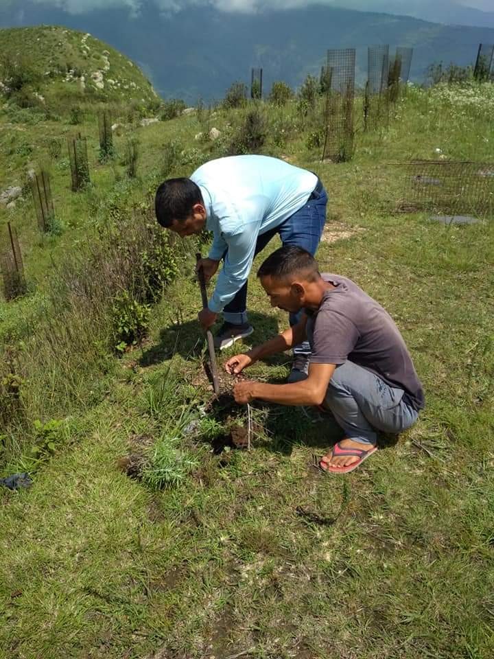 उत्‍तराखंड न्यूज़ : मां भद्रकाली श्रावण सक्रांति भव्य मेला देवीकोल में 17 जुलाई के दिन लगेगा