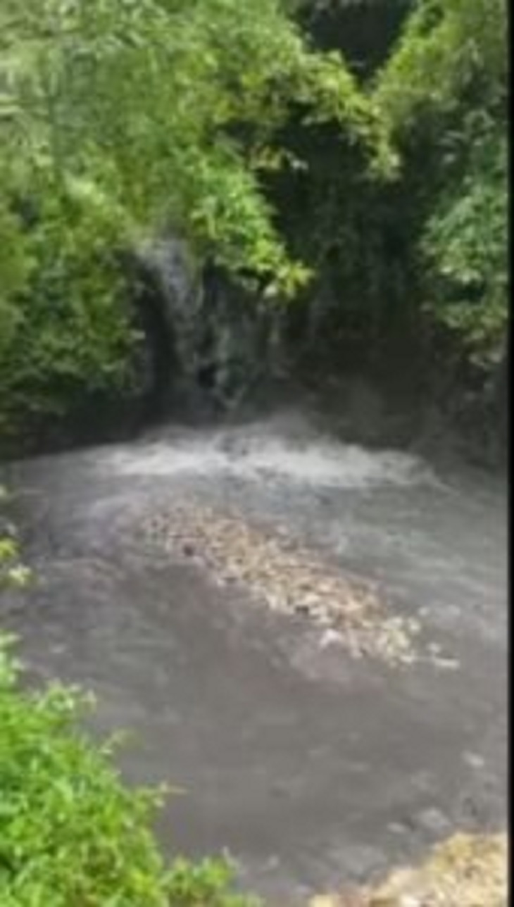 असामाजिक तत्वों द्वारा रिस्पना नदी में सिवरेज का गंदा पानी छोडा़ , गंदगी और बदबू से लोगों का बुरा हाल