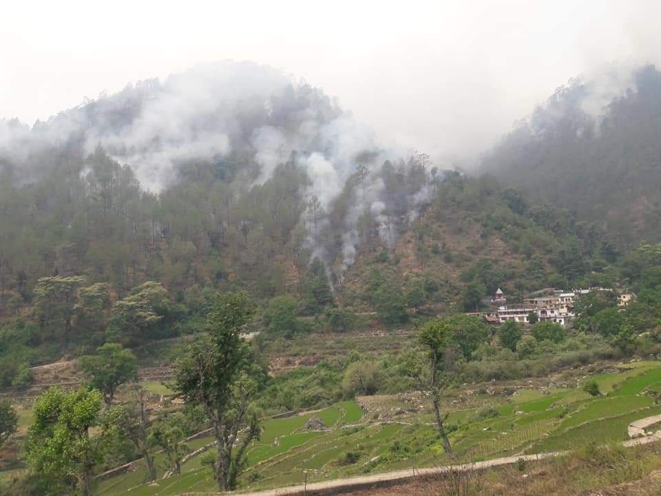 The fire in the forests of Uttarkashi became severe
