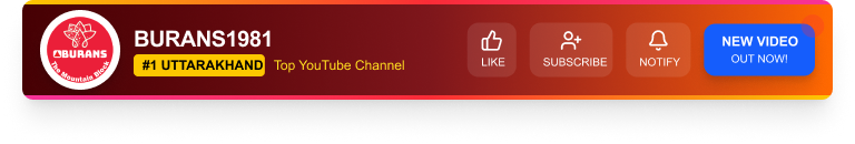 Advertisement Banner