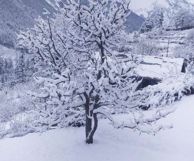 Uttarakhand Weather Update:देहरादून में बूंदाबांदी से बढ़ी ठंड, मसूरी समेत चार धाम की चोटियों पर हिमपात