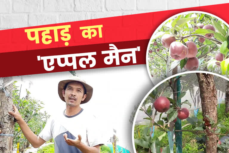 उत्तराखंड : स्वरोजगार की मिसाल पेश कर रहा है पिथौरागढ़ का 'एप्पल मैन'