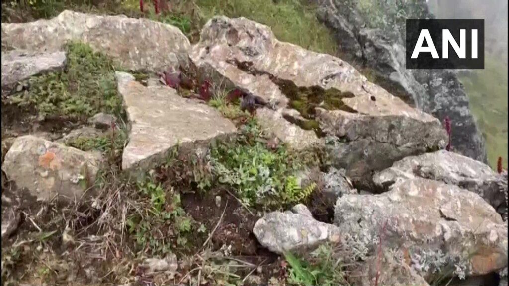 उत्तराखंड : चमत्कार हुआ केदारनाथ में , बरसों बाद खिल गया दुर्लभ नीलकमल