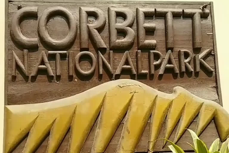 उत्‍तराखंड ब्रेकिंग न्यूज़ : जिम कॉर्बेट नेशनल पार्क का नाम बदलकर रामगंगा नेशनल पार्क करने की तैयारी