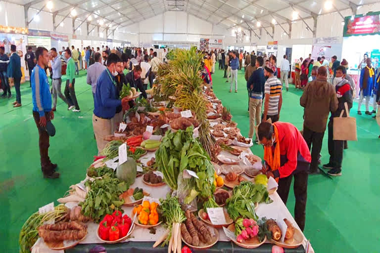 उत्‍तराखंड न्यूज़ : अंतरराष्ट्रीय उत्सव में उत्तराखंड के मसाले और सब्जियों ने छोड़ी अपनी पहचान, अदरक बना रहा आकर्षण का केंद्र