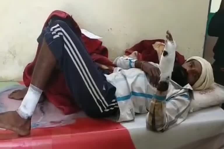 उत्‍तराखंड न्यूज़ : भालू ने साइकिल सवार पर हमला किया, गंभीर रूप से घायल