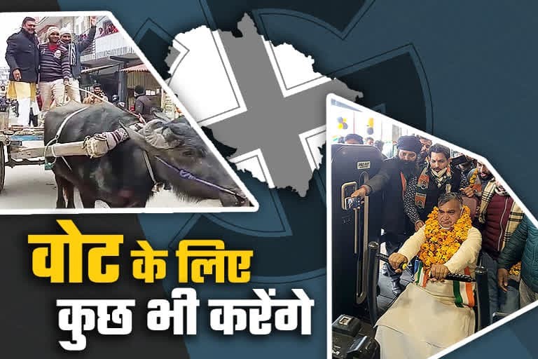 उत्‍तराखंड न्यूज़ : शो-बाजी के आगे है जीत!, कोई भैंस की गाड़ी पर सवार है तो कोई जिम में एक्सरसाइज कर रहा है