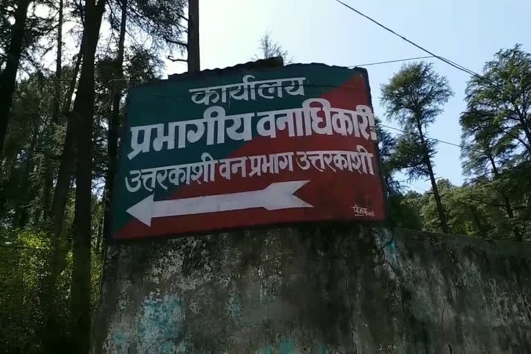 उत्‍तराखंड ब्रेकिंग न्यूज़ उत्तरकाशी : फायर सीजन ने की भुगतान की मांग, आंदोलन की चेतावनी
