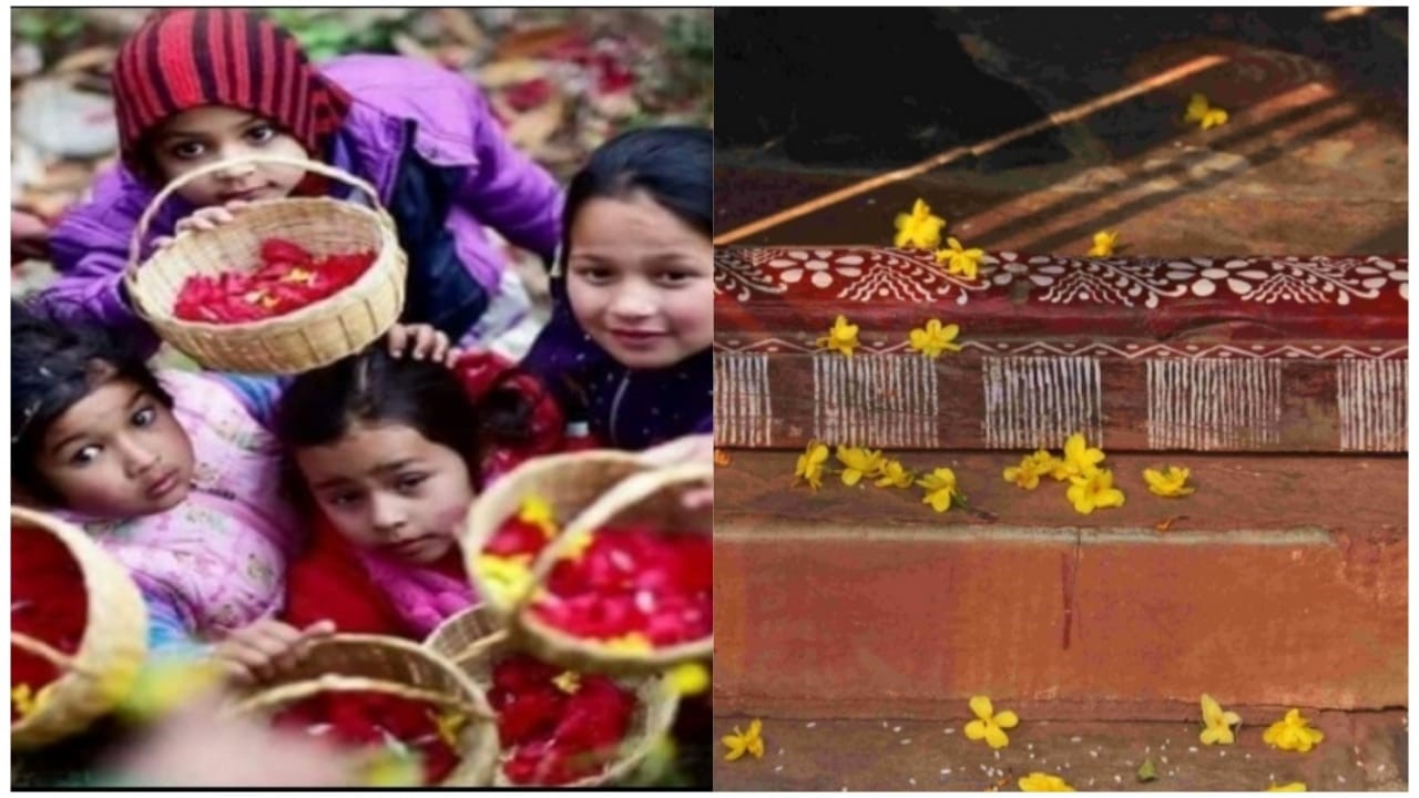 पौड़ी उत्‍तराखंड न्यूज़ : देवभूमि के घरों में गूंजी 'फूलदेई छम्मा देई' के स्वर की आवाज, फूलों से महकी चौखटें लोक पर्व पर