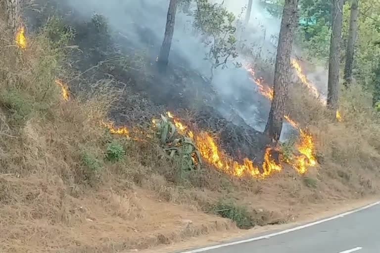 उत्‍तराखंड न्यूज़ : कुमाऊं में 24 घंटे में जंगल में आग की 52 घटनाएं, 10 हजार का इनाम जंगल जलाने वालों की जानकारी देने पर