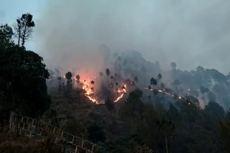 पौड़ी गढ़वाल उत्‍तराखंड न्यूज़ : पौड़ी के केवर्स गांव का जंगल आग की भेंट चढ़ा , पशु चारे की समस्या ग्रामीणों के सामने खड़ी हुई