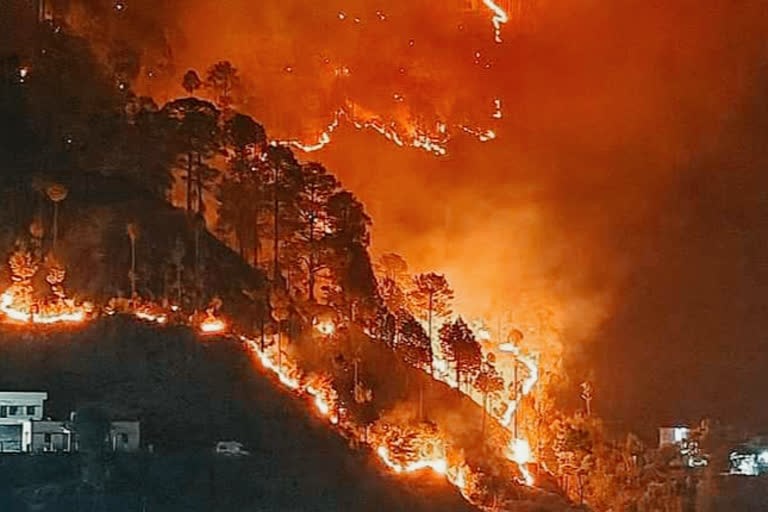 पौड़ी उत्‍तराखंड न्यूज़ : जंगल की आग पौड़ी में थम नहीं रही , आरटीओ व कोषागार कार्यालय जंगल की आग की चपेट में आने से बचा
