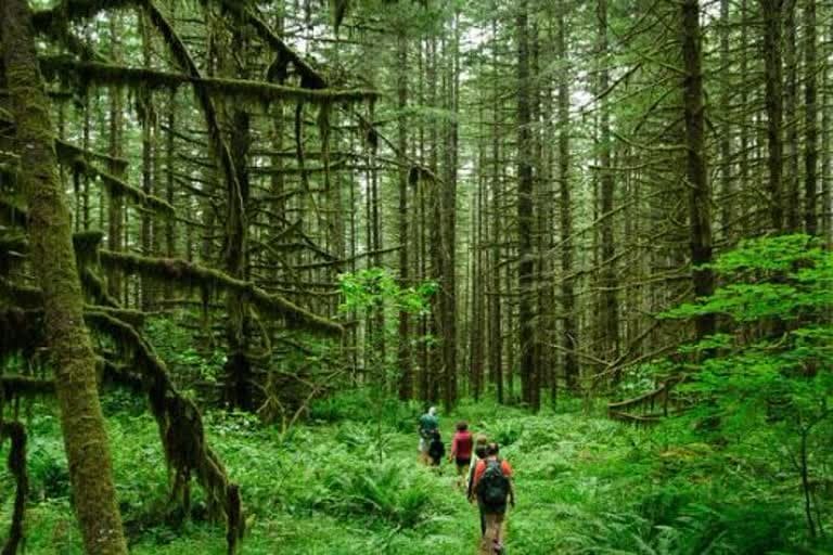 उत्‍तराखंड न्यूज़ : उत्तराखंड में इको टूरिज्म नीति पर फैसला जल्द, पर्यटन व वन विभाग ने मिलकर तैयार किया ड्राफ्ट