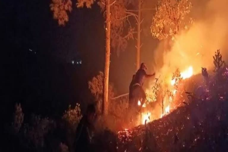 उत्‍तराखंड चंपावत जंगल की आग : चंपावत जिले में जंगल में आग की हालिया घटनाओं को लेकर नेशनल ग्रीन ट्रिब्यूनल ने उत्तराखंड सरकार को निर्देश दिया