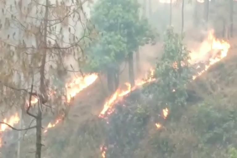 उत्‍तराखंड न्यूज़ : उत्तराखंड में जंगल की आग का अध्ययन करने के लिए गठित कमेटी 3 माह में देगी रिपोर्ट