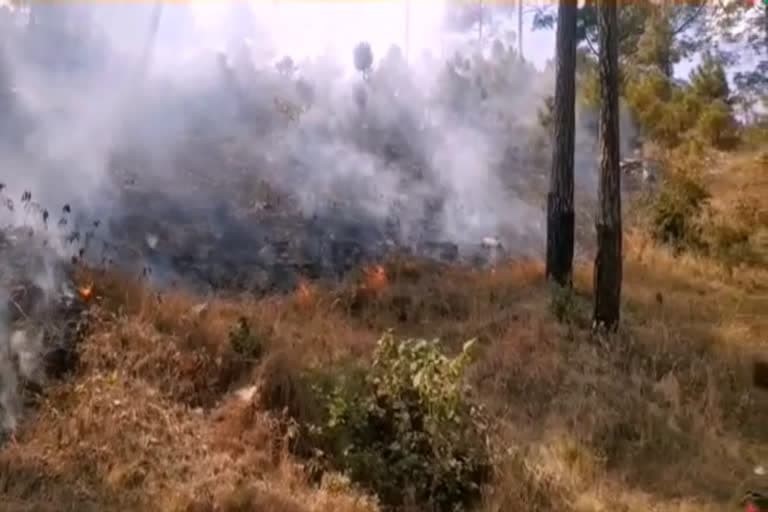 पौड़ी गढ़वाल उत्‍तराखंड न्यूज़ : पौड़ी में जंगल की आग से 30 से 35 प्रतिशत फसल 'नष्ट'