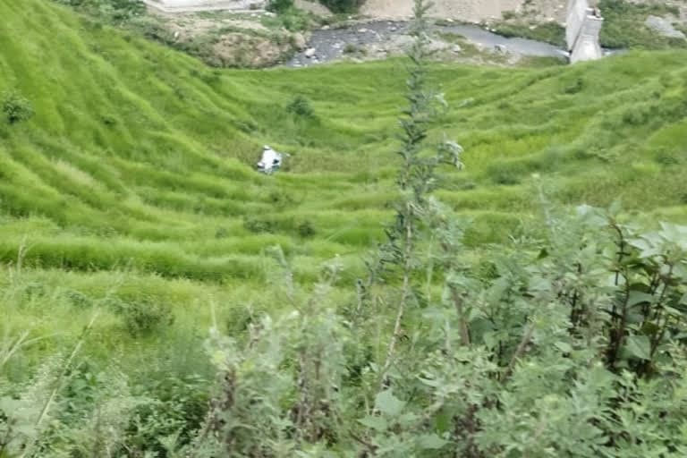 पौड़ी में कार सड़क से 100 मीटर नीचे गिरी, चालक की मौत
