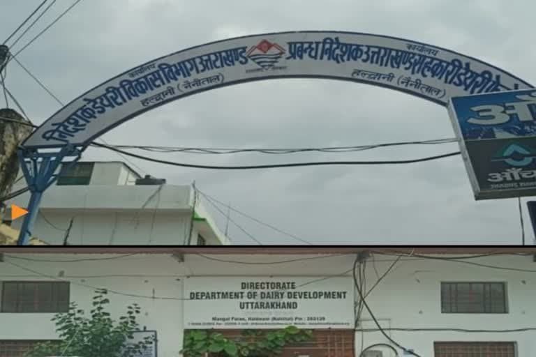 हल्द्वानी में 6 करोड़ की लागत से बनेगा डेयरी फेडरेशन का निदेशालय , जल्द शुरू होगा काम