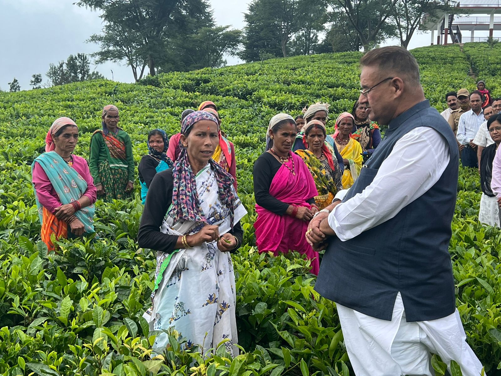 चम्पावत : चाय बागान पौधारोपण तथा पर्यटन विकास कार्यों का स्थलीय निरीक्षण करते माननीय कृषि मंत्री ने कहा कि जनपद चम्पावत एक मॉडल जिले के रूप में आगे बढ़ रहा है