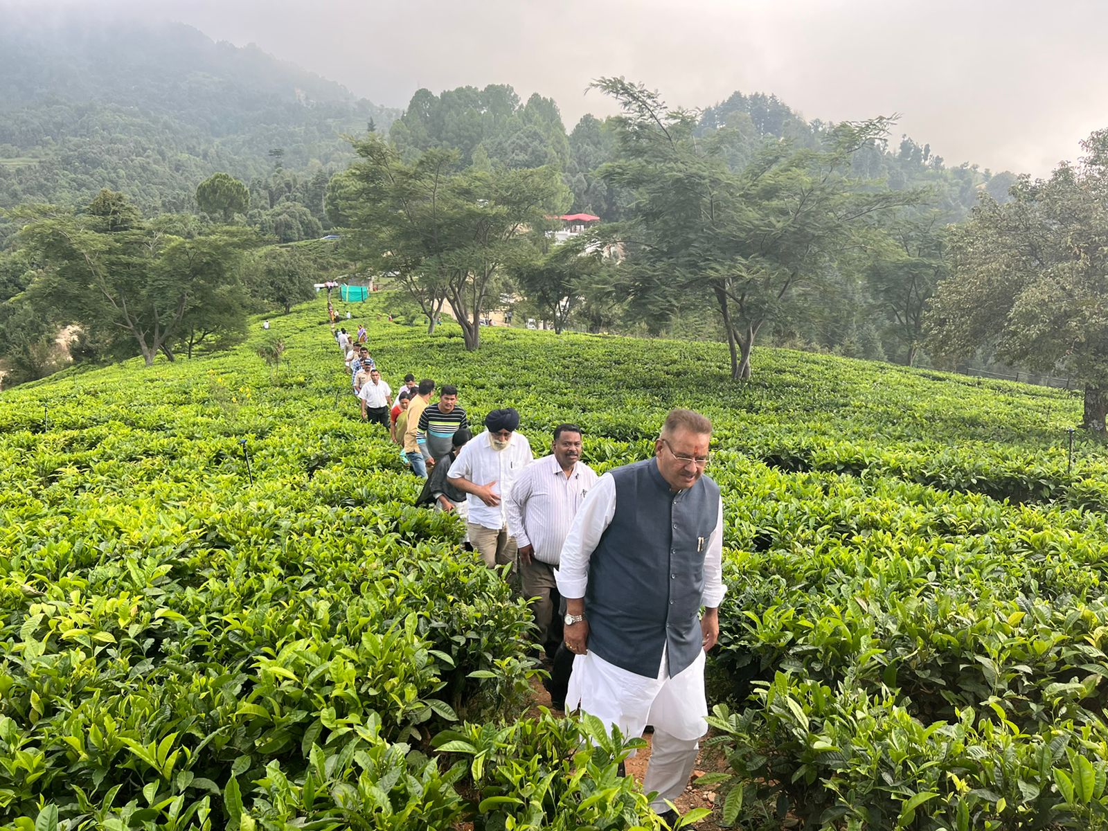 चम्पावत : चाय बागान पौधारोपण तथा पर्यटन विकास कार्यों का स्थलीय निरीक्षण करते माननीय कृषि मंत्री ने कहा कि जनपद चम्पावत एक मॉडल जिले के रूप में आगे बढ़ रहा है