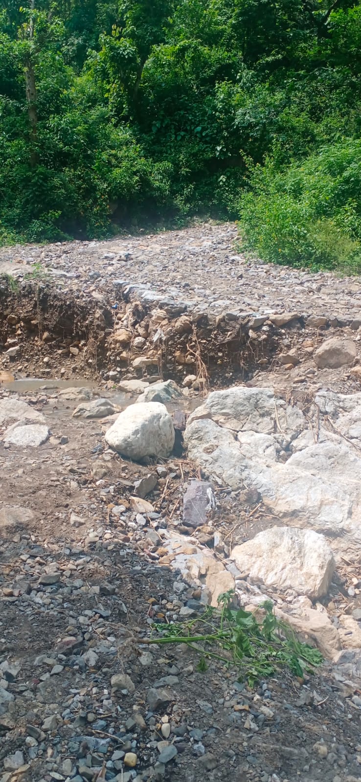 ऋषिकेश में कमाल: 500 मीटर का रास्ता पार करने के लिए 5 किमी चलना पढ़ता है। पुल आज तक नहीं बना है। ,सभी की सरकार पर निगाहें