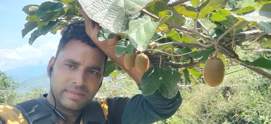 नैनबाग : राजेश को गांव के खेतों की याद तब आई जब उसने देखा कि महंगें फल बिकते देखे ।