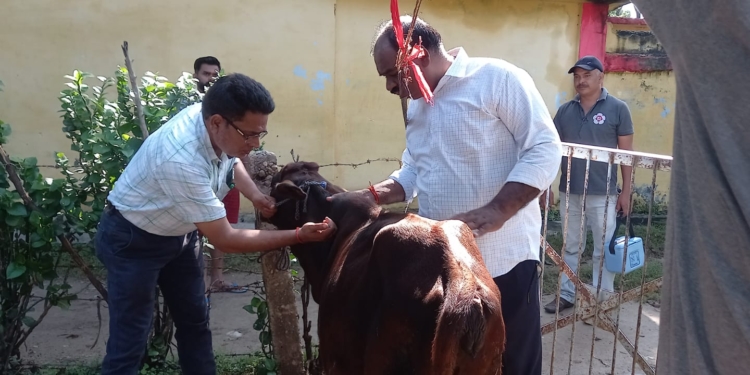 कालागढ़ पहुंची पशु चिकित्सक टीम, जानवरों को लंपी वायरस से बचाने के लिए किया गया टीकाकरण