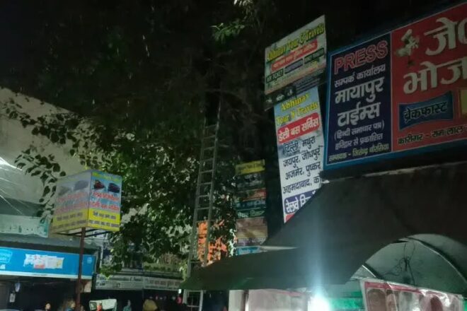 हाई वोल्टेज ड्रामा: शराब के नशे में पेड़ पर चढ़ा शख्स, 6 घंटे पुलिस को चकमा दिया