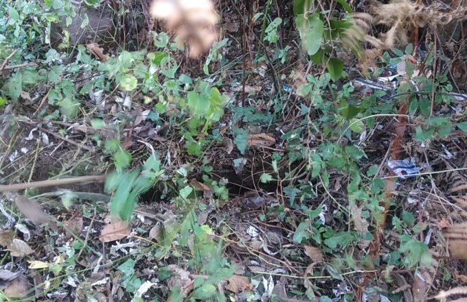 जोशीमठ प्लेट फार्म के पास खेतों में फिर से दरारें आने की खबर