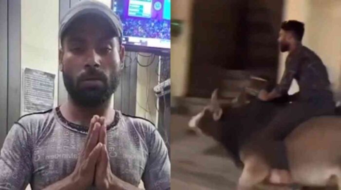 युवक को ऋषिकेश की सड़कों पर नंदी की सवारी करना पड़ा मंहगा, युवक को अपनी नौकरी से भी हाथ धोना पड़ा