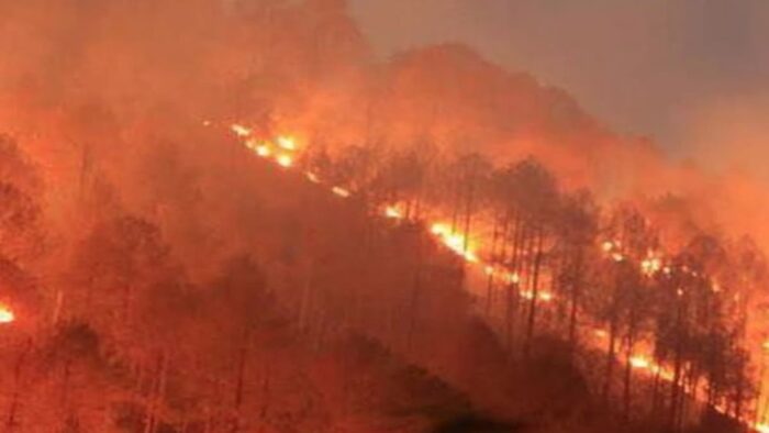 राज्य में तापमान बढ़ने से जंगल में आग लगने की घटनाएं बढ़ सकती हैं, अधिकारी तैयारियों का हवाला दे रहे हैं