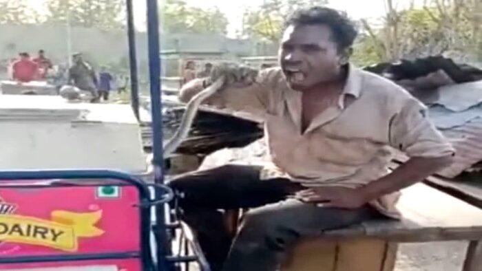 सांप को जिंदा चबाकर खा गया युवक, वीडियो वायरल होने के बाद गिरफ्तार