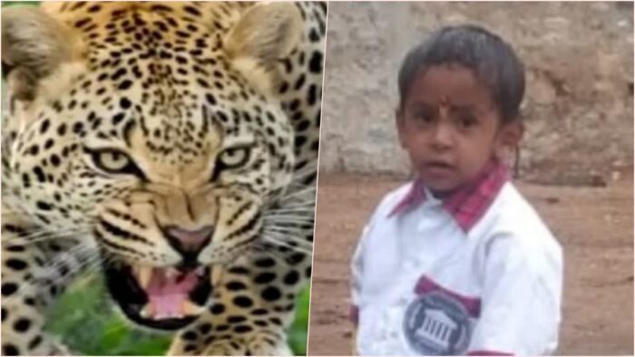 गंगोलीहाट में गुलदार के हमले में घायल बच्चे की मौत, रोते-बिलखते रहे परिजन