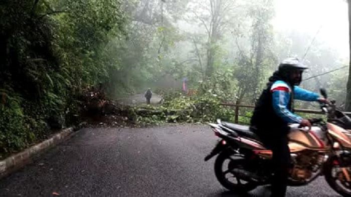 उत्तराखंड में बारिश से कई सड़कें बंद, दो की मौत, सीएम धामी ने संभाला मोर्चा