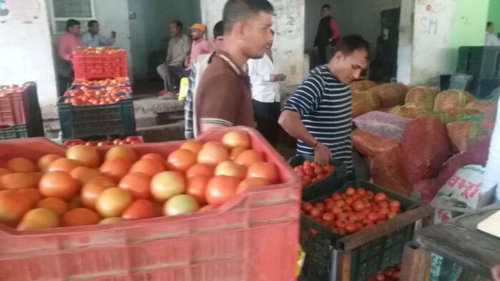 टमाटर के दाम : टमाटर की बंपर पैदावार जौनसार बावर में हुई , बाजार में बिका ₹60 किलो