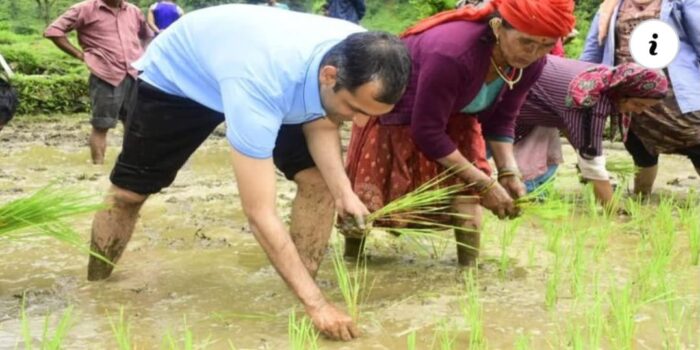 उत्तराखंड सरकार के इस आईएएस अधिकारी ने ग्रामीणों के साथ मिलकर लाल धान की रोपाई की