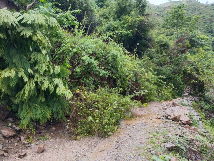 तहसील नैनबाग के अंतर्गत आने वाले क्षेत्र की कई सड़कें बंद हो गईं।