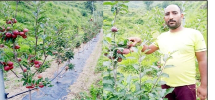 पर्यटन स्थल सैन्दूर में सेब उगाकर बोबी पवार युवाओं के लिए एक आदर्श बन गए।