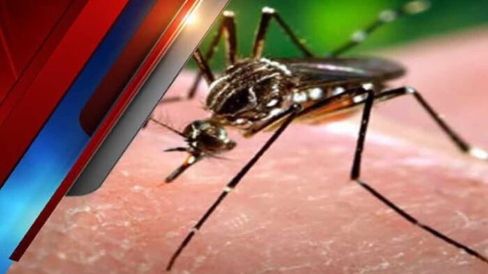 बारिश से बढ़ा डेंगू का खतरा, स्वास्थ्य विभाग और नगर निगम अलर्ट