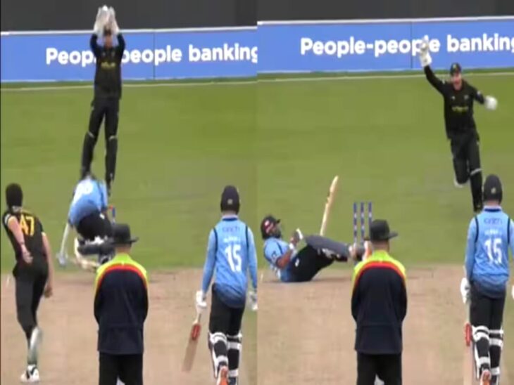 वीडियो: वनडे कप के डेब्यू मैच में अजीब तरीके से आउट हुए पृथ्वी शॉ, विकेट पर बल्ला दे मारा