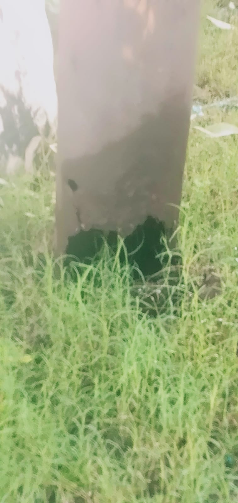 देहरादून : बिजली पोल गिरने की कगार पर, निगम नहीं दे रहा ध्यान