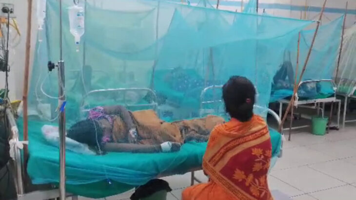 देहरादून में डेंगू के मामलों में वृद्धि , 56 लोग इलाज करा रहे हैं।